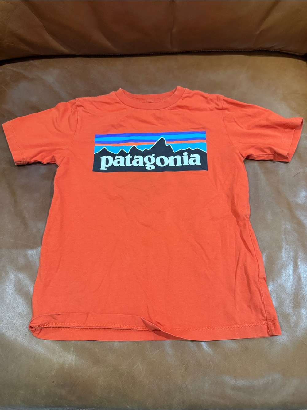 Patagonia Kids Red-Orange Logo Tee